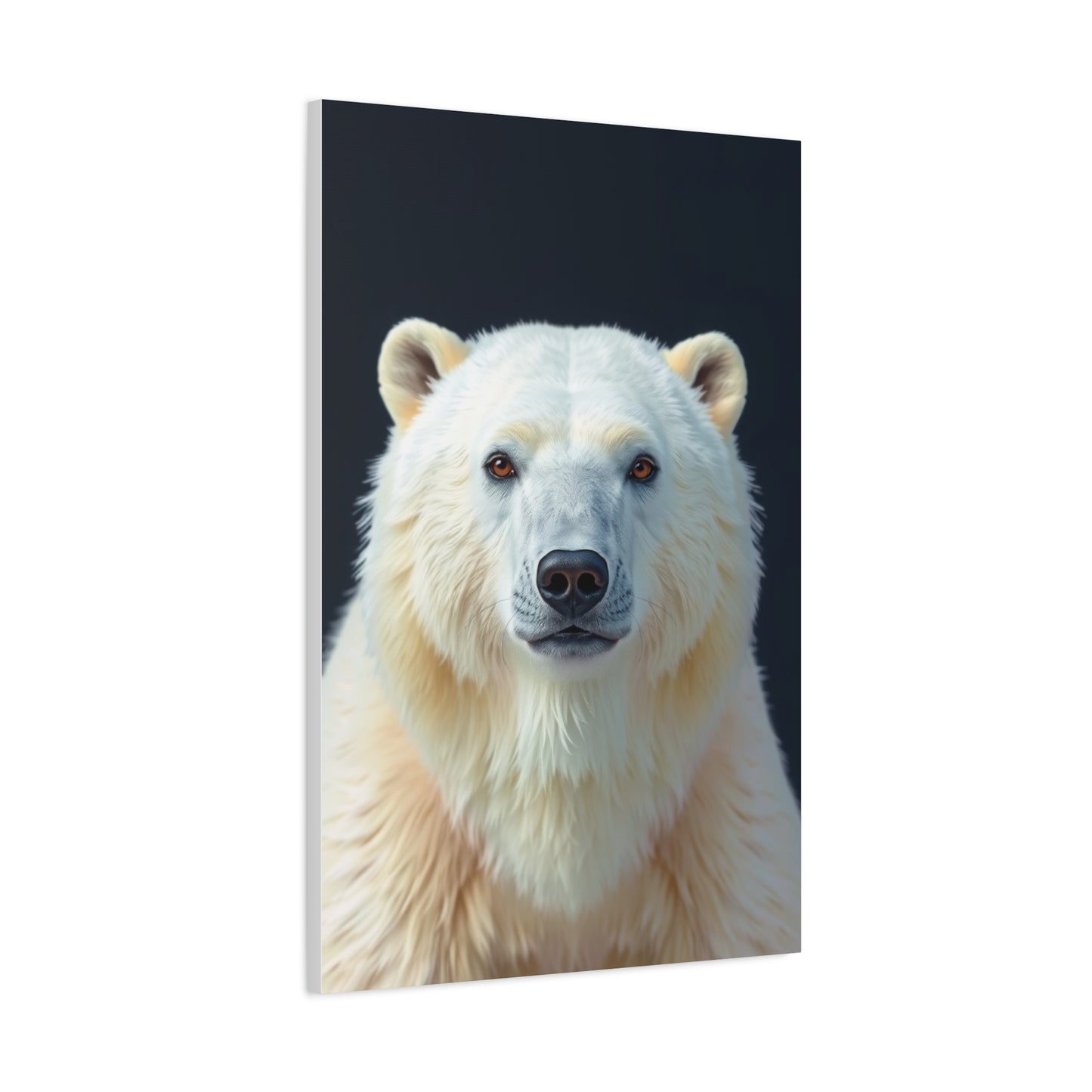 Supreme Polar Bear Art Collection Wall Art & Canvas Print