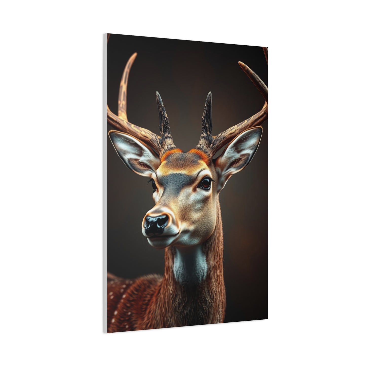 Luminous Buck Composition Wall Art & Canvas Print