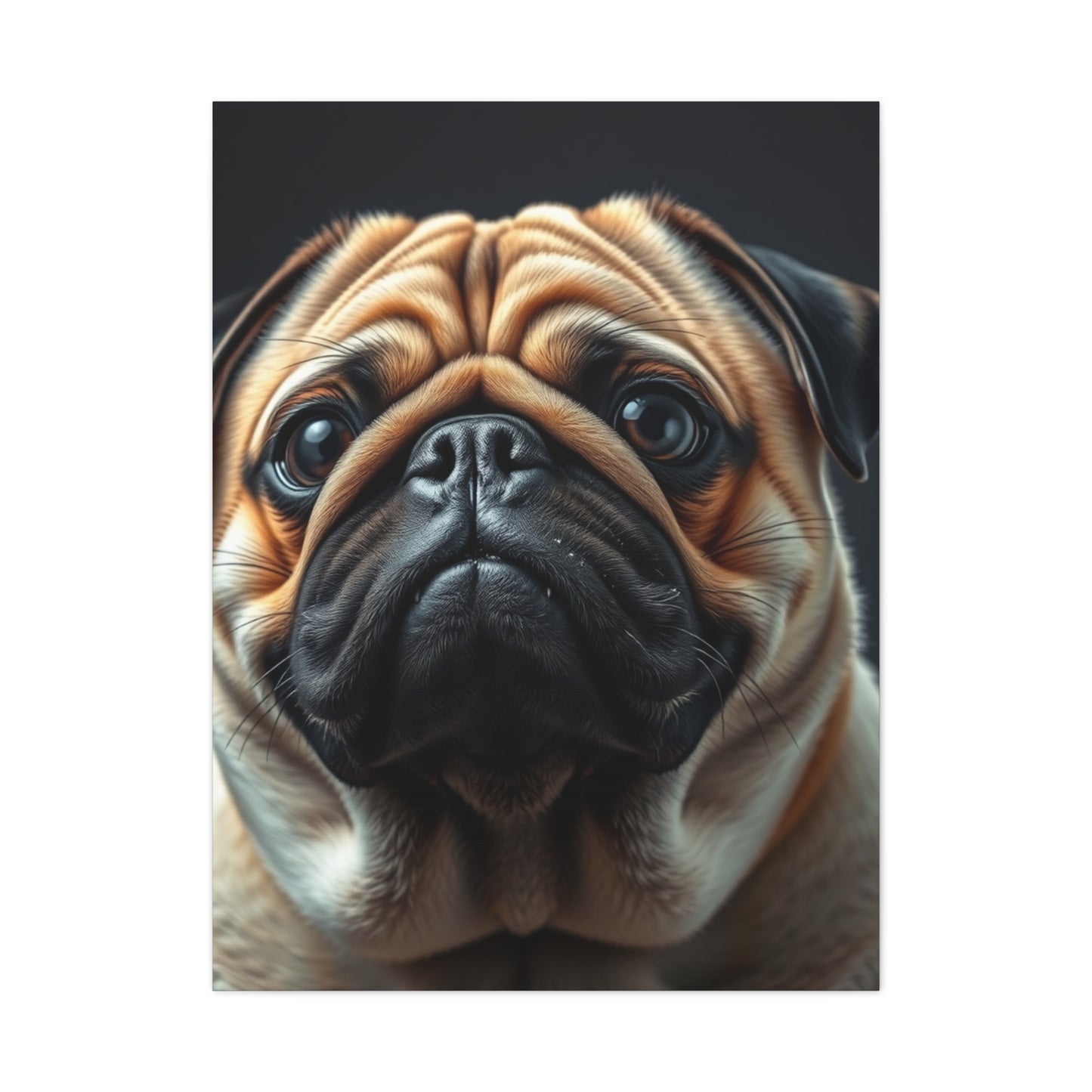 Supreme Pug Art Collection Wall Art & Canvas Print