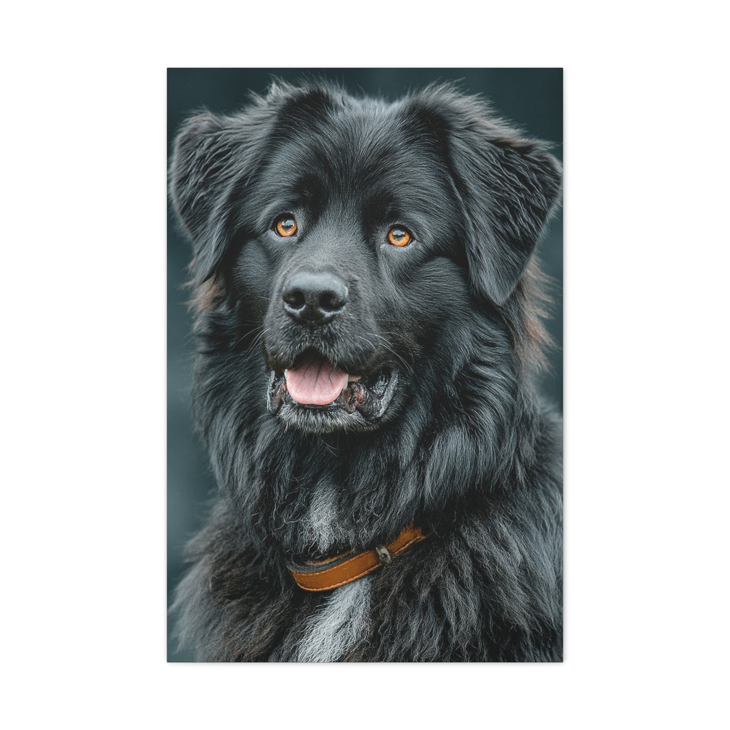 Noble Newfoundland Portrait Wall Art & Canvas Print