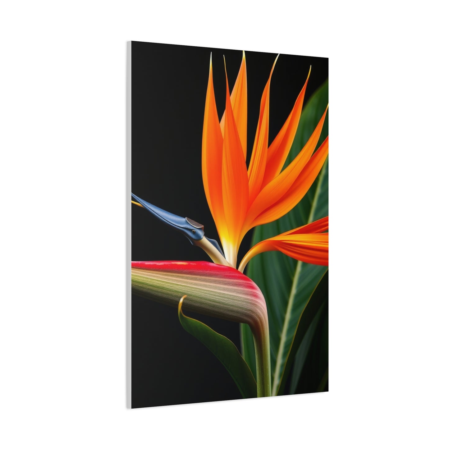 Bird of Paradise Plant Art Supreme Gallery Wall Art & Canvas Print