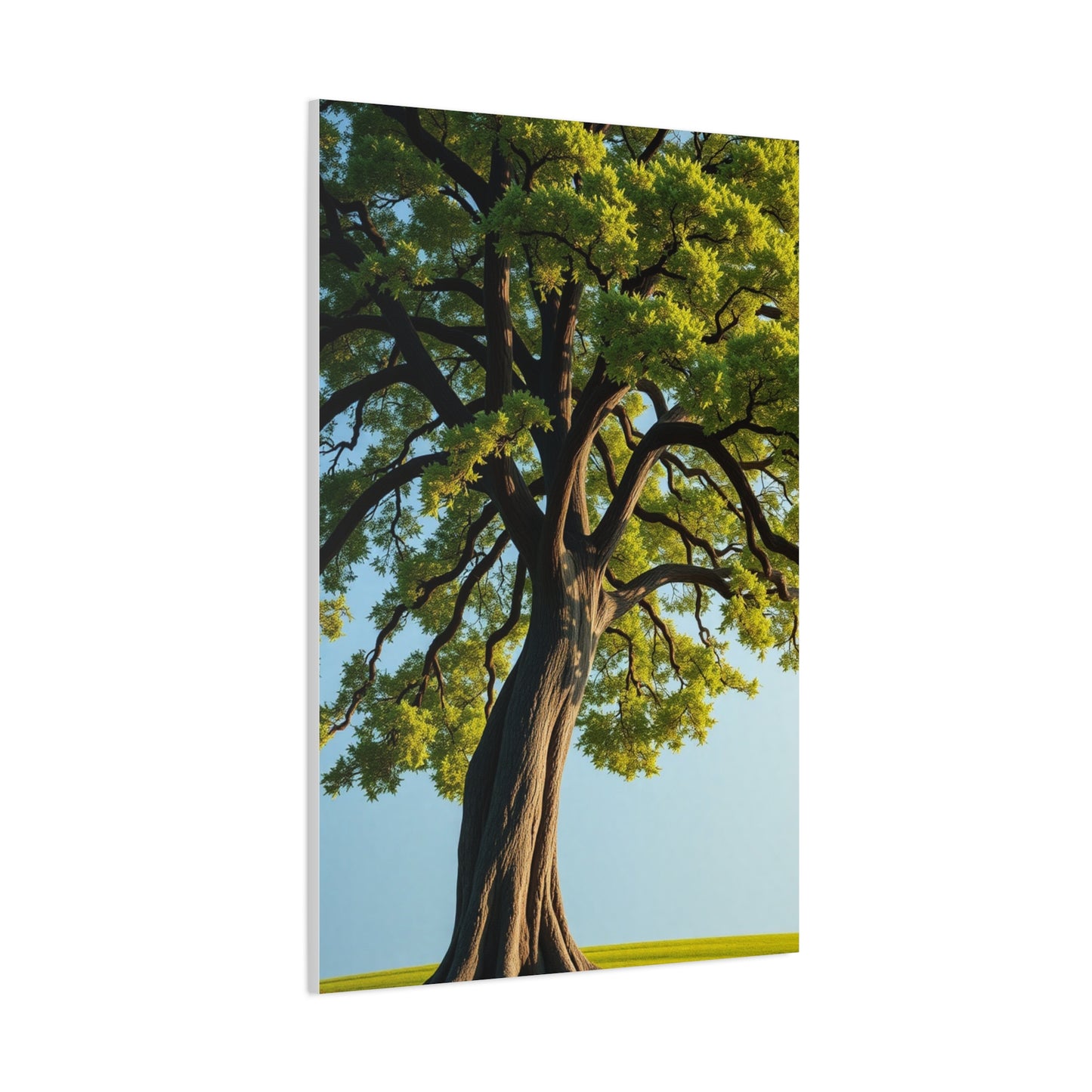 Elite Oak Tree Art Vision Wall Art & Canvas Print