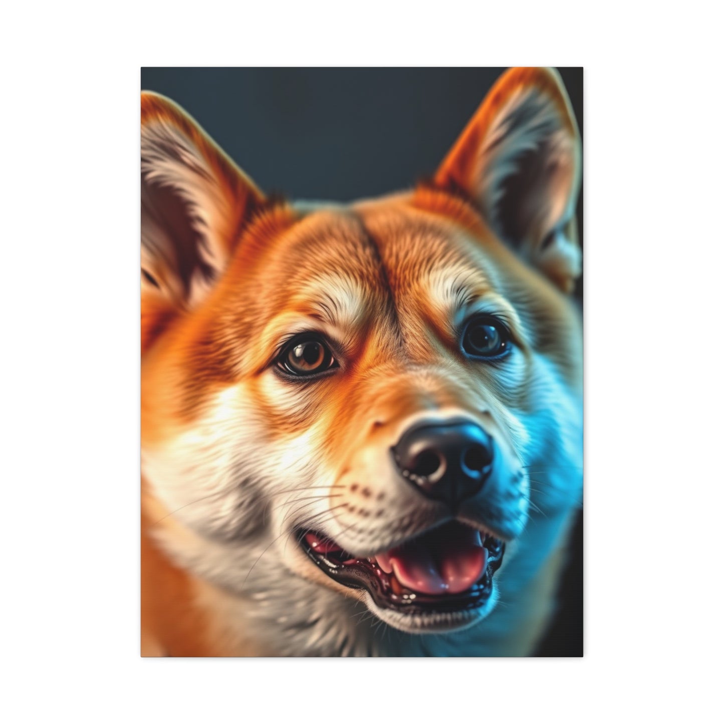 Shiba Inu Dog Art Supreme Gallery Wall Art & Canvas Print