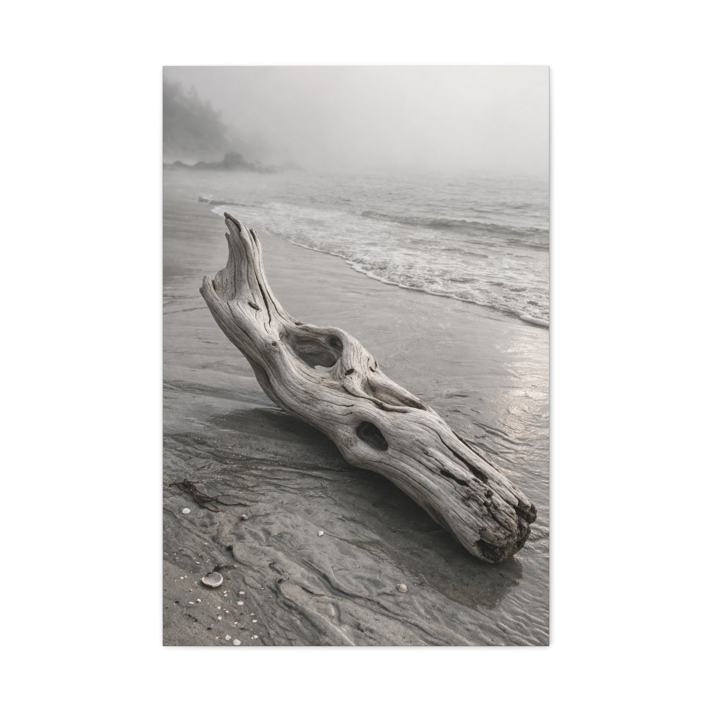 Driftwood Coastal Minimal Wall Art & Canvas Print