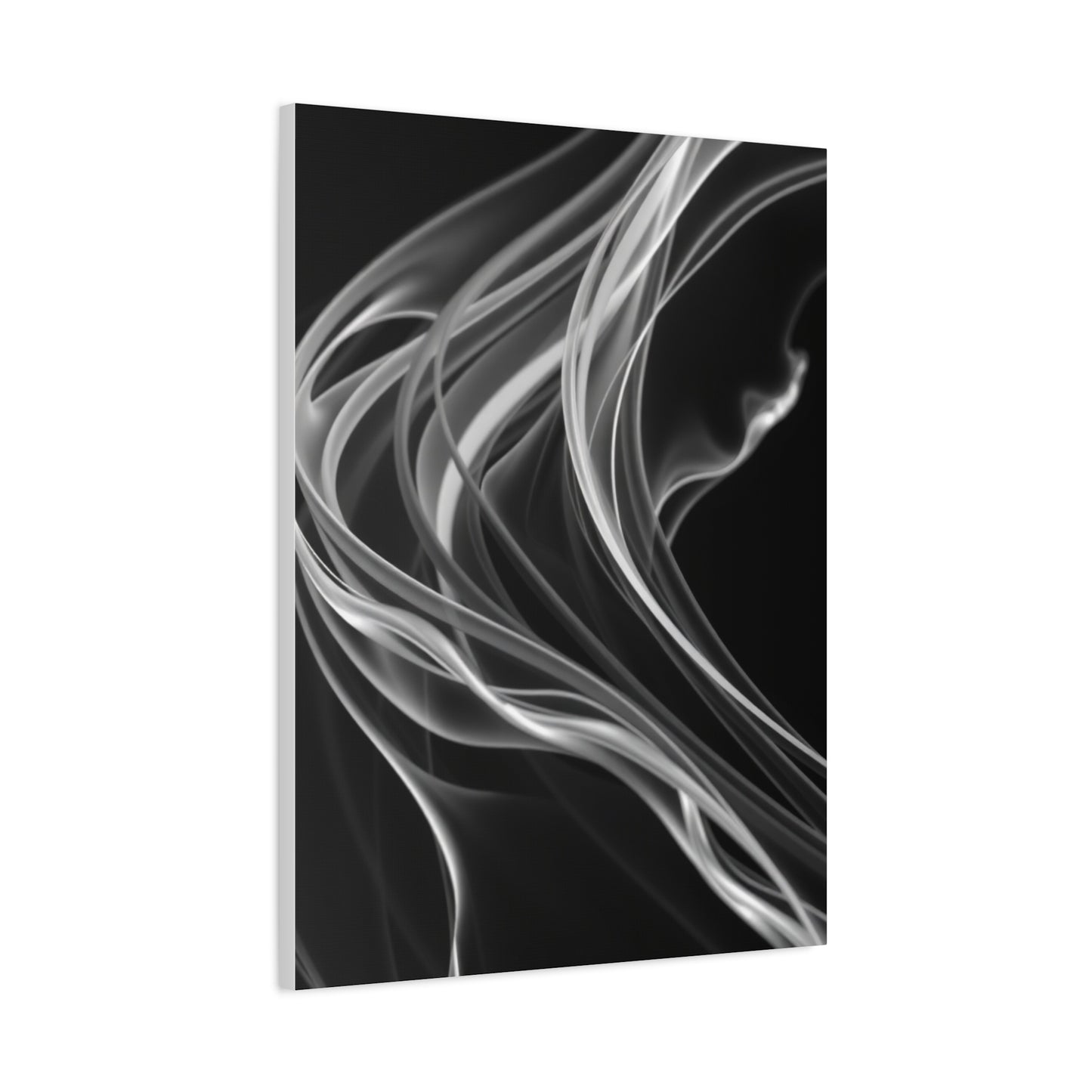 Vision Black and White Abstract Art Art Wall Art & Canvas Print