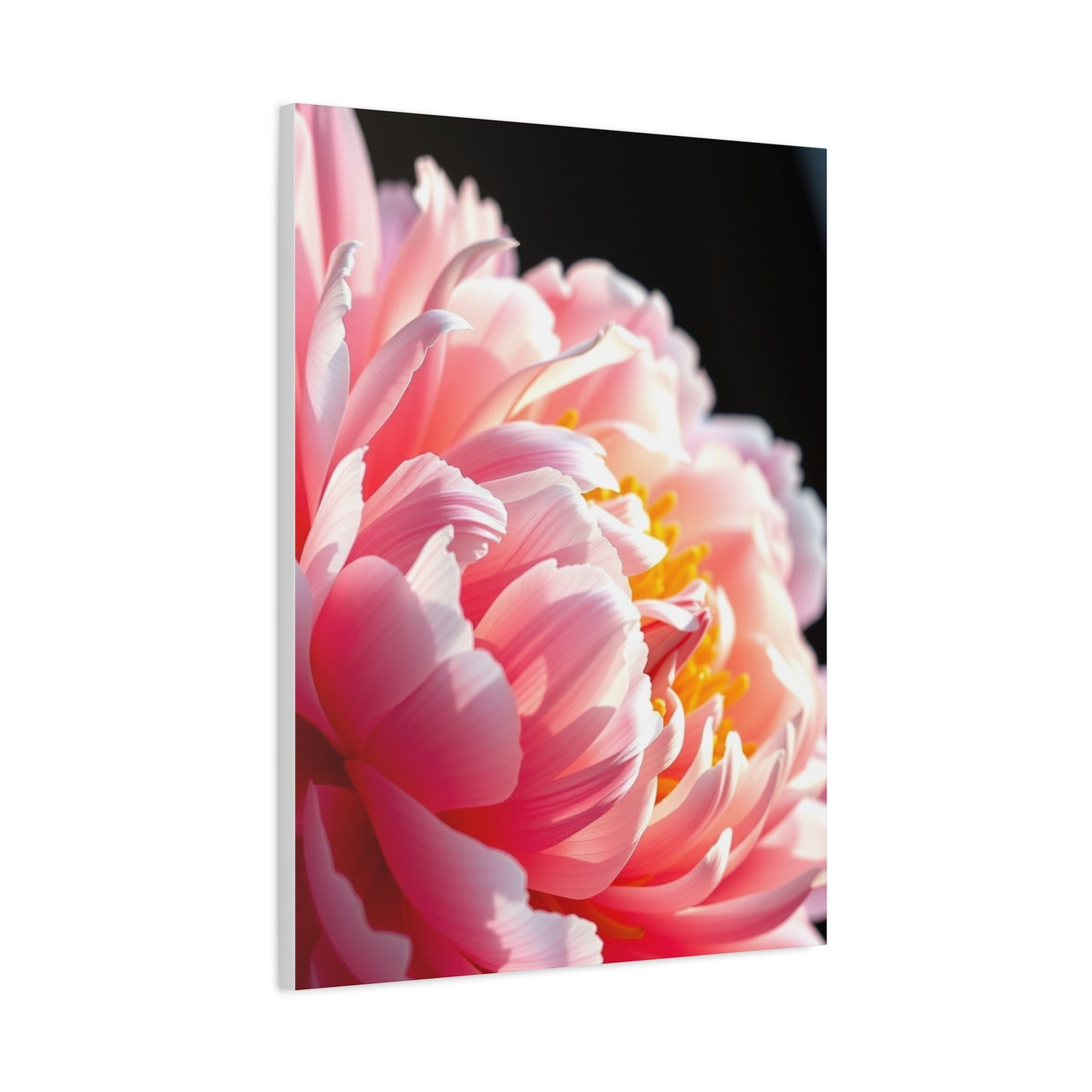 Opulent Peony Reverie Wall Art & Canvas Print
