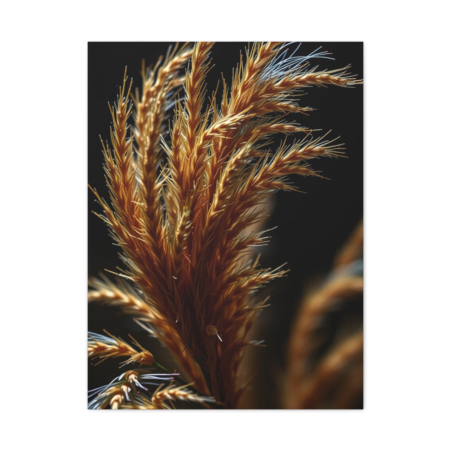 Natures Essence Canvas Wall Art & Canvas Print