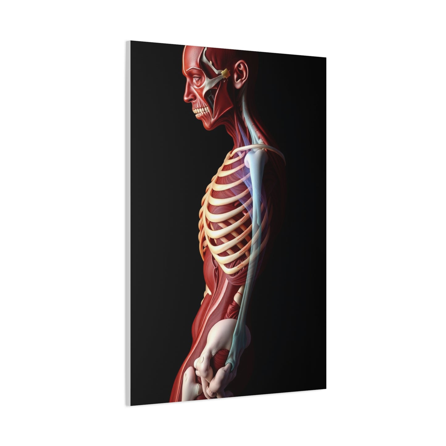 Supreme Anatomy Art Collection Wall Art & Canvas Print