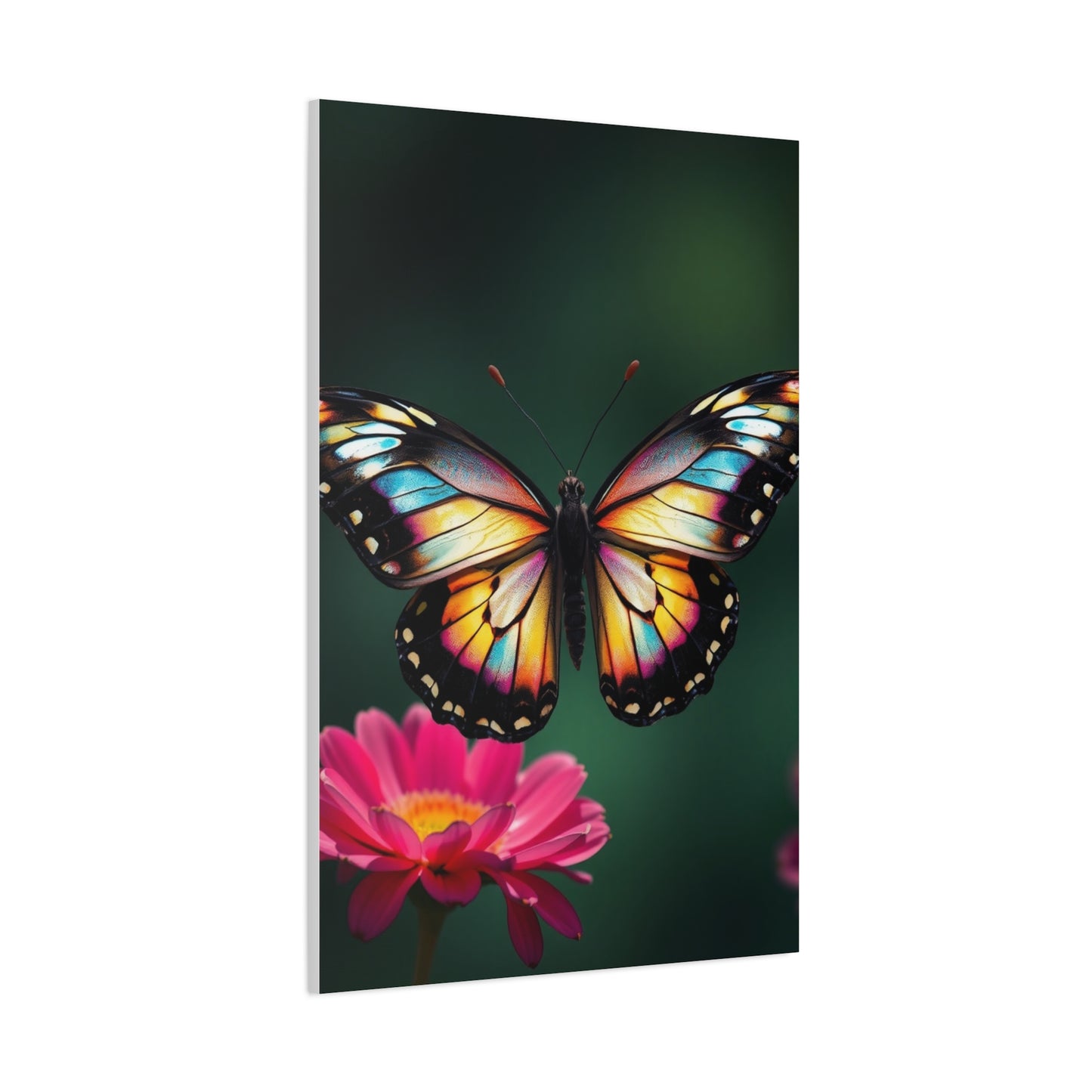 Enchanted Flutter Gallery Wall Art & Canvas Print