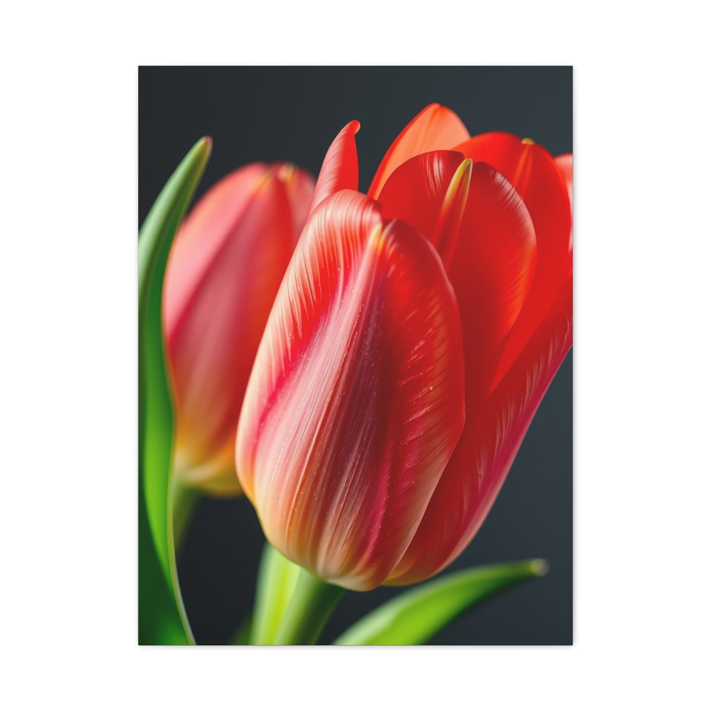 Tulip Flower Art Refined Canvas Wall Art & Canvas Print