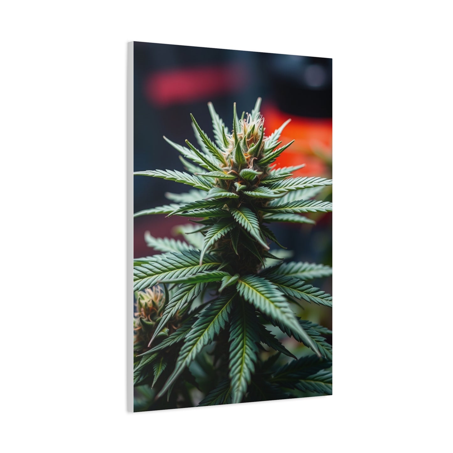 Herbaceous Ambience Gallery Wall Art & Canvas Print