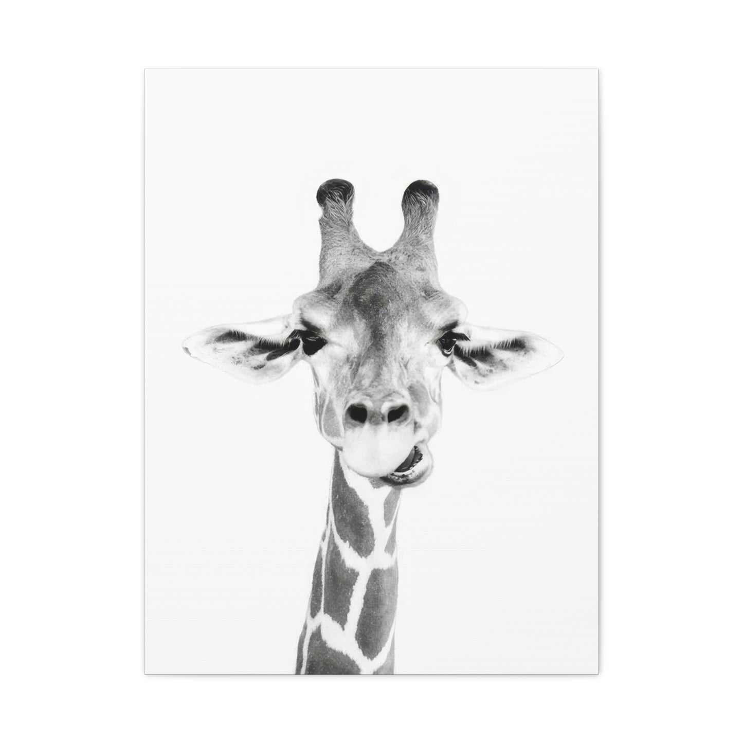 Kathrin Pienaar Baby Giraffe Wall Art & Canvas Prints