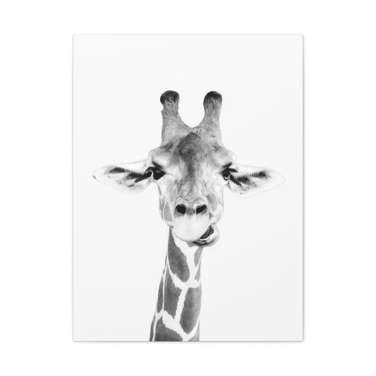 Kathrin Pienaar Baby Giraffe Wall Art & Canvas Prints