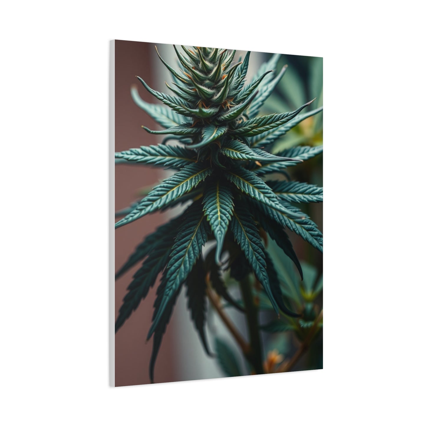 Sublime Herb Symphony Wall Art & Canvas Print