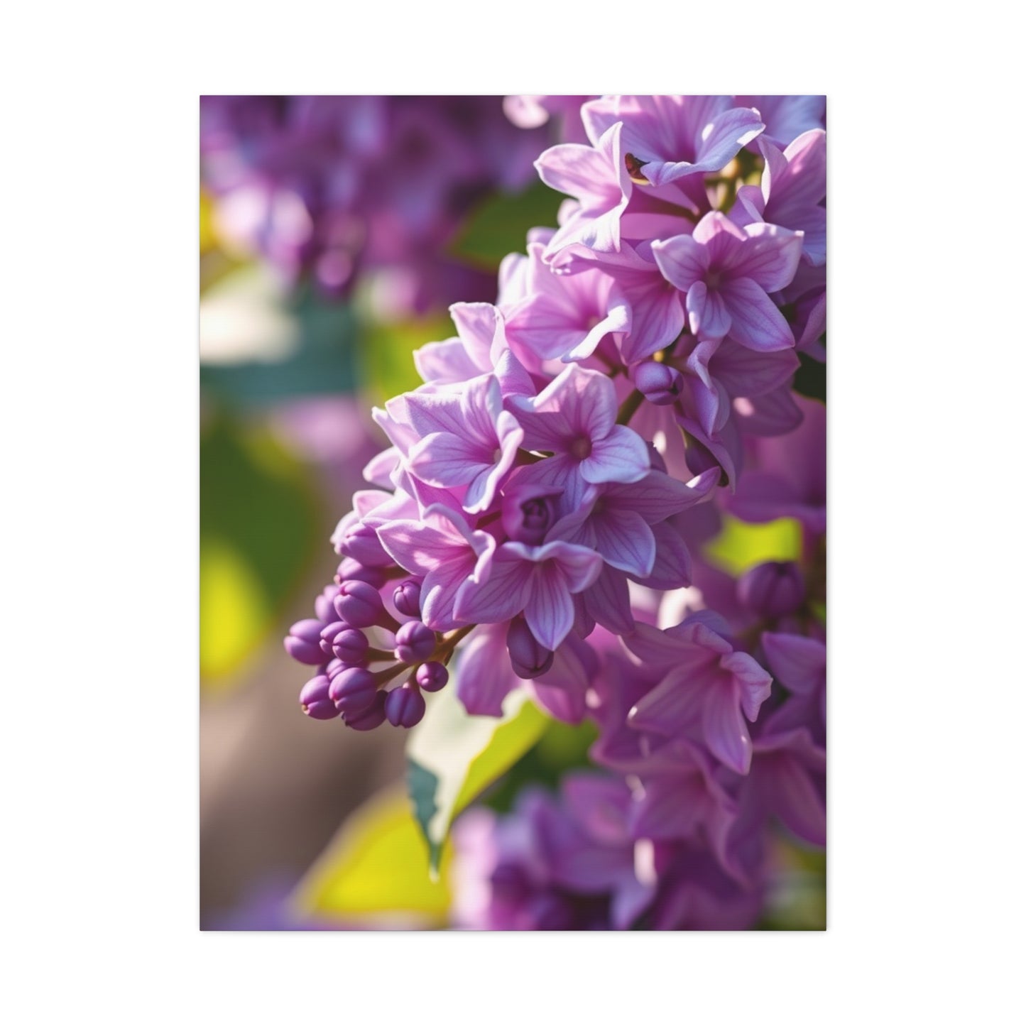 Lilac Flower Art Supreme Gallery Wall Art & Canvas Print