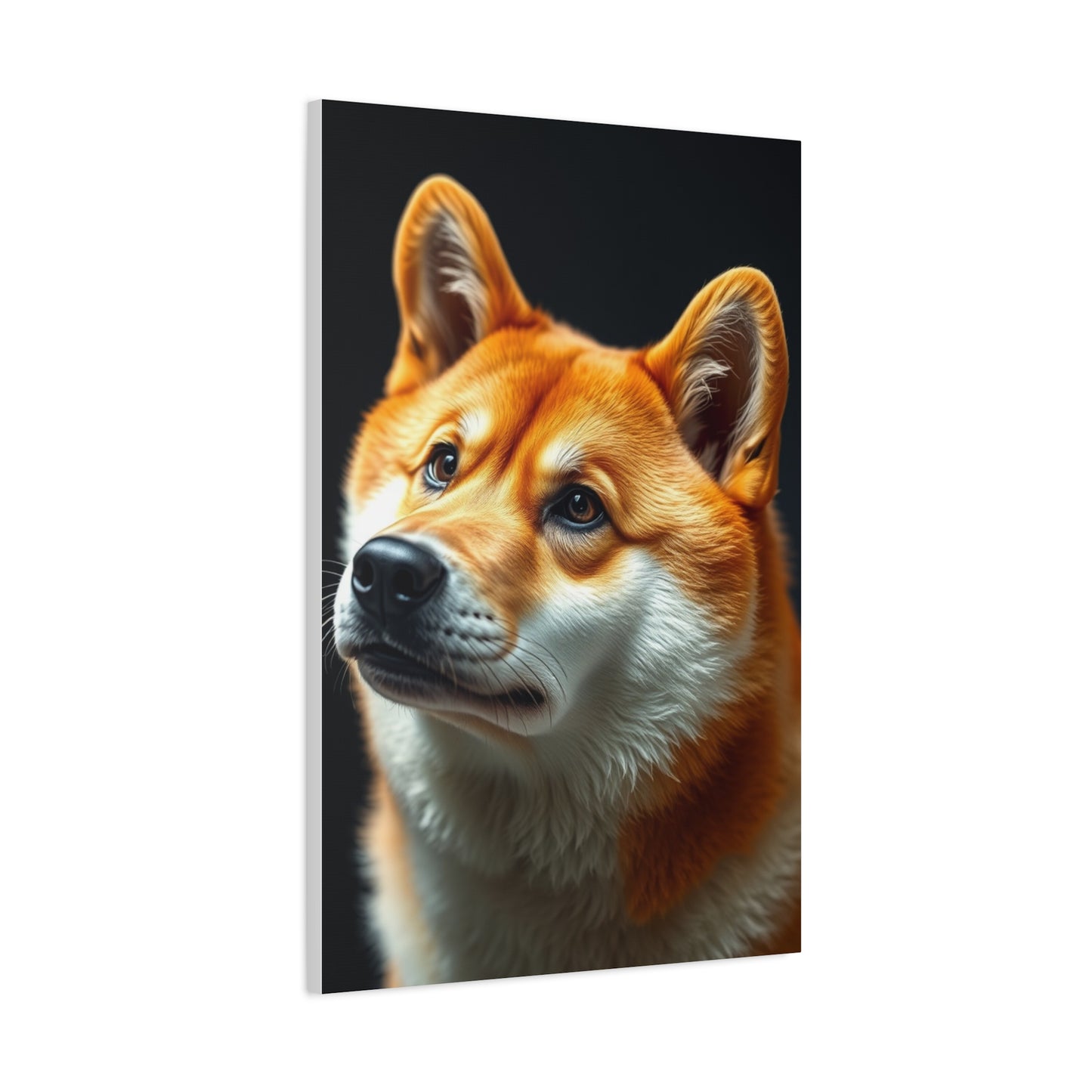 Shiba Inu Dog Art Luxury Canvas Wall Art & Canvas Print