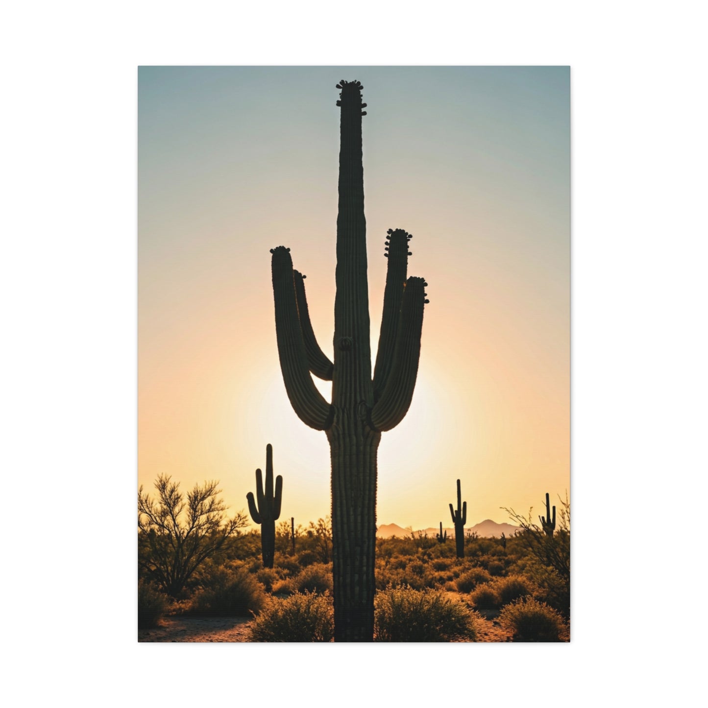 Sunset Saguaro Silhouette Wall Art & Canvas Prints