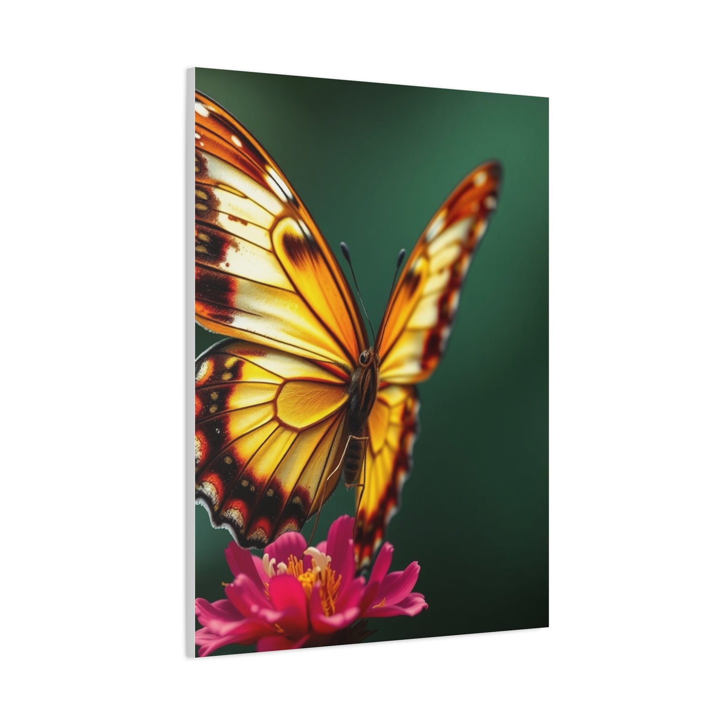 Chrysalis Symphony Wall Art Wall Art & Canvas Print