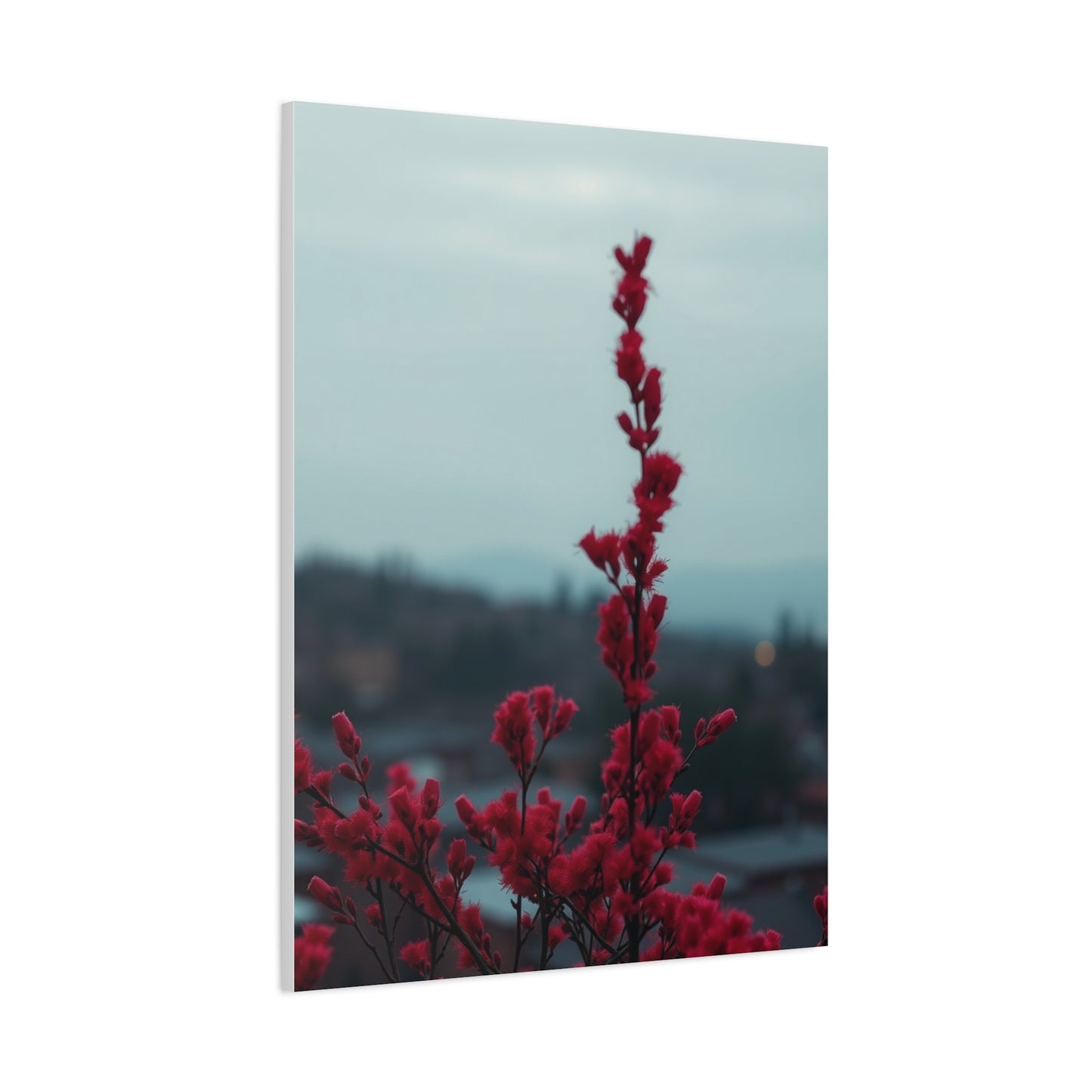 Rosy Elegance Wall Art Wall Art & Canvas Print