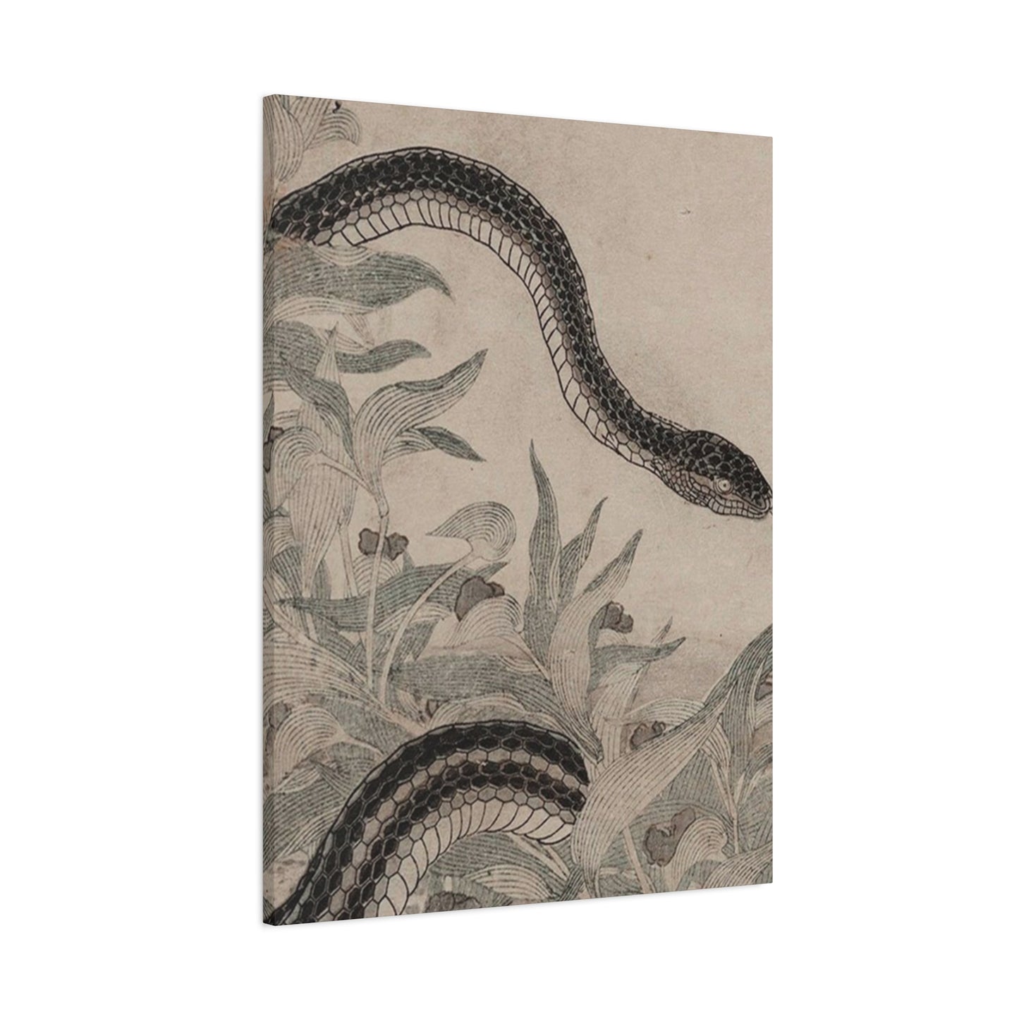 Cobra And Flower Wall Art & Canvas Prints