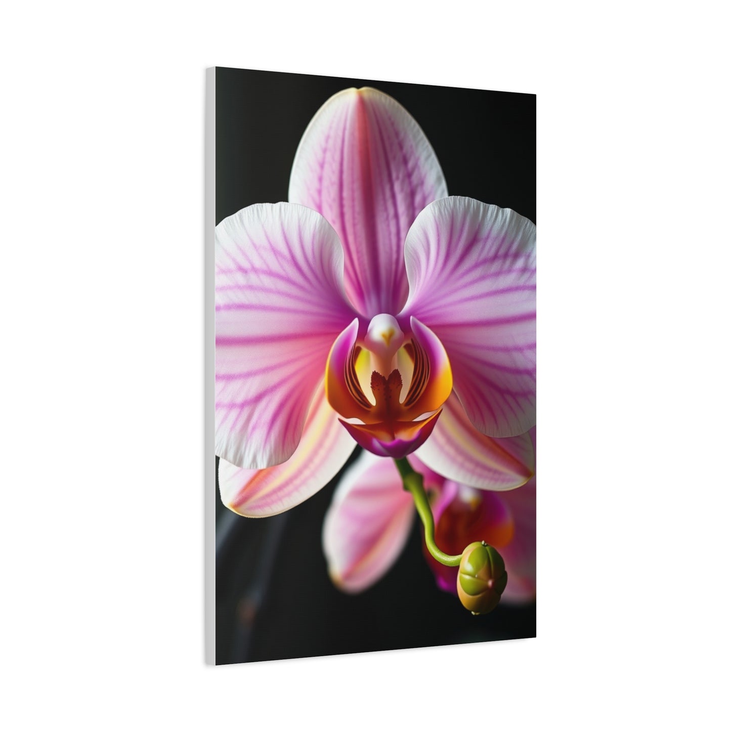 Vision Orchid Flower Art Art Wall Art & Canvas Print