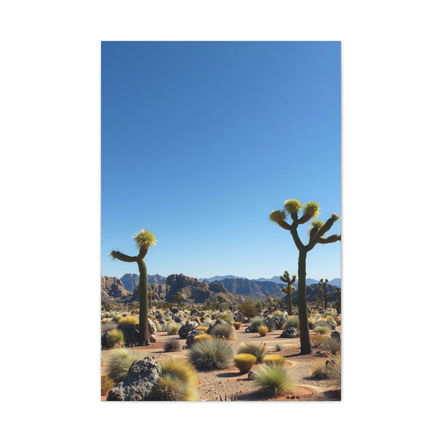 Vision Joshua Tree National Park Art Art Wall Art & Canvas Print