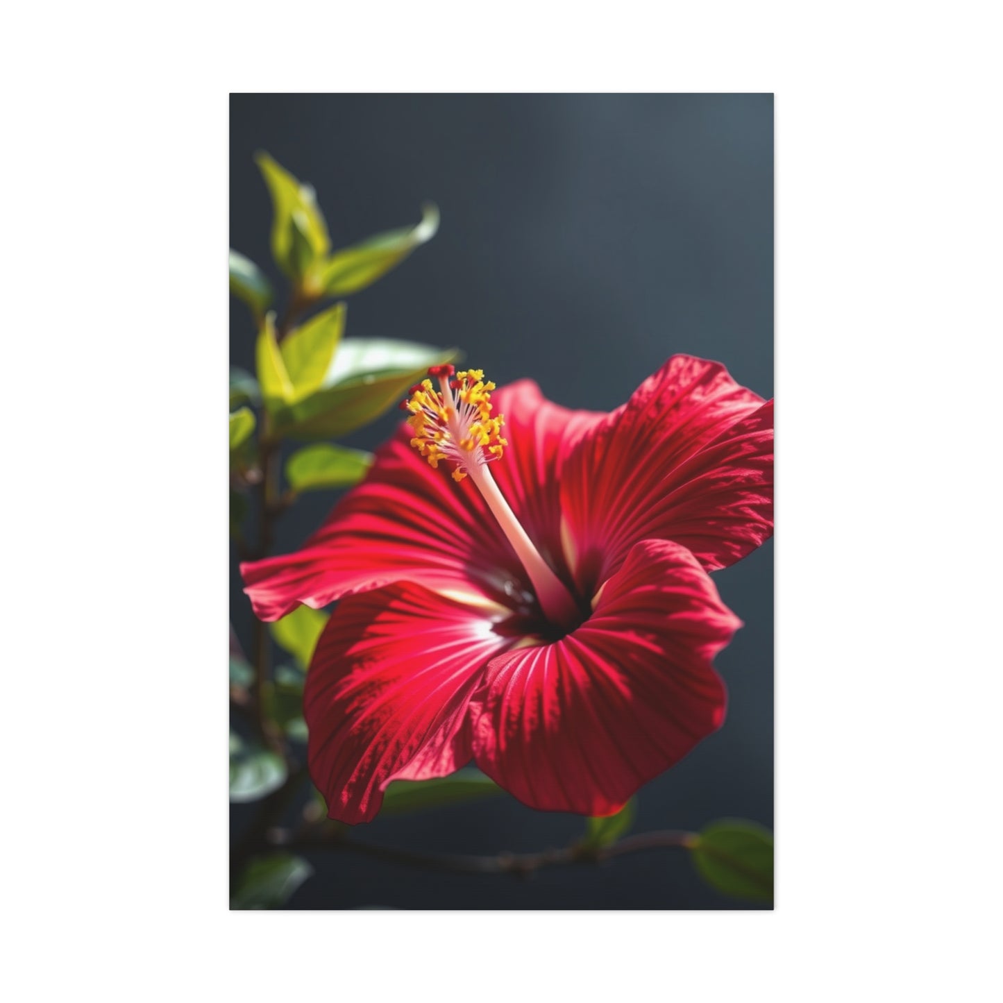 Hibiscus Flower Art Supreme Gallery Wall Art & Canvas Print