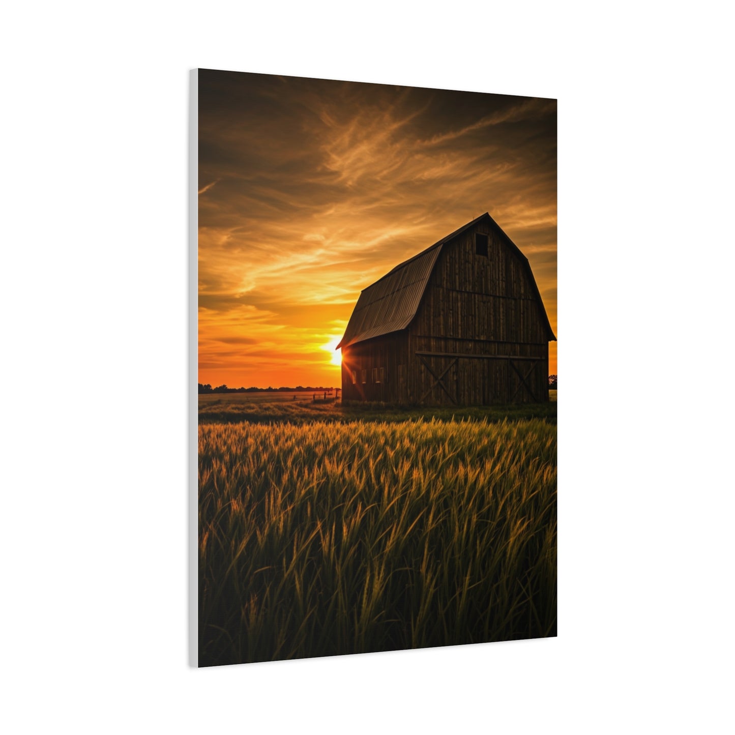 Sunset Barn in Tall Wheat Fields Wall Art & Canvas Prints