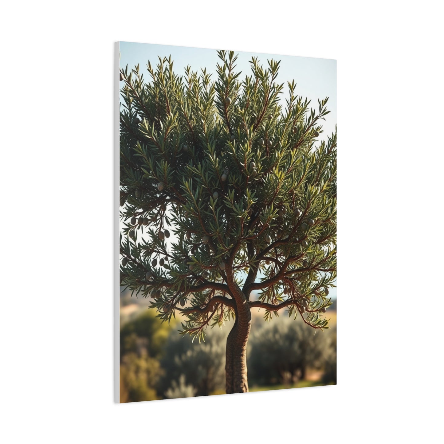 Supreme Olive Tree Art Collection Wall Art & Canvas Print
