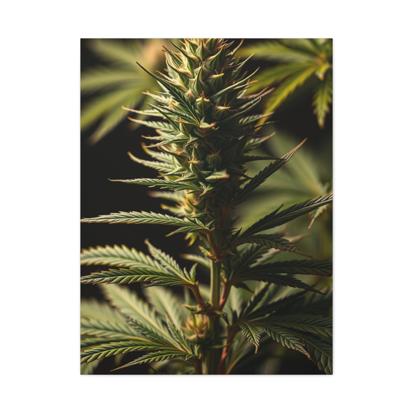 Verdant Elegance Canvas Wall Art & Canvas Print