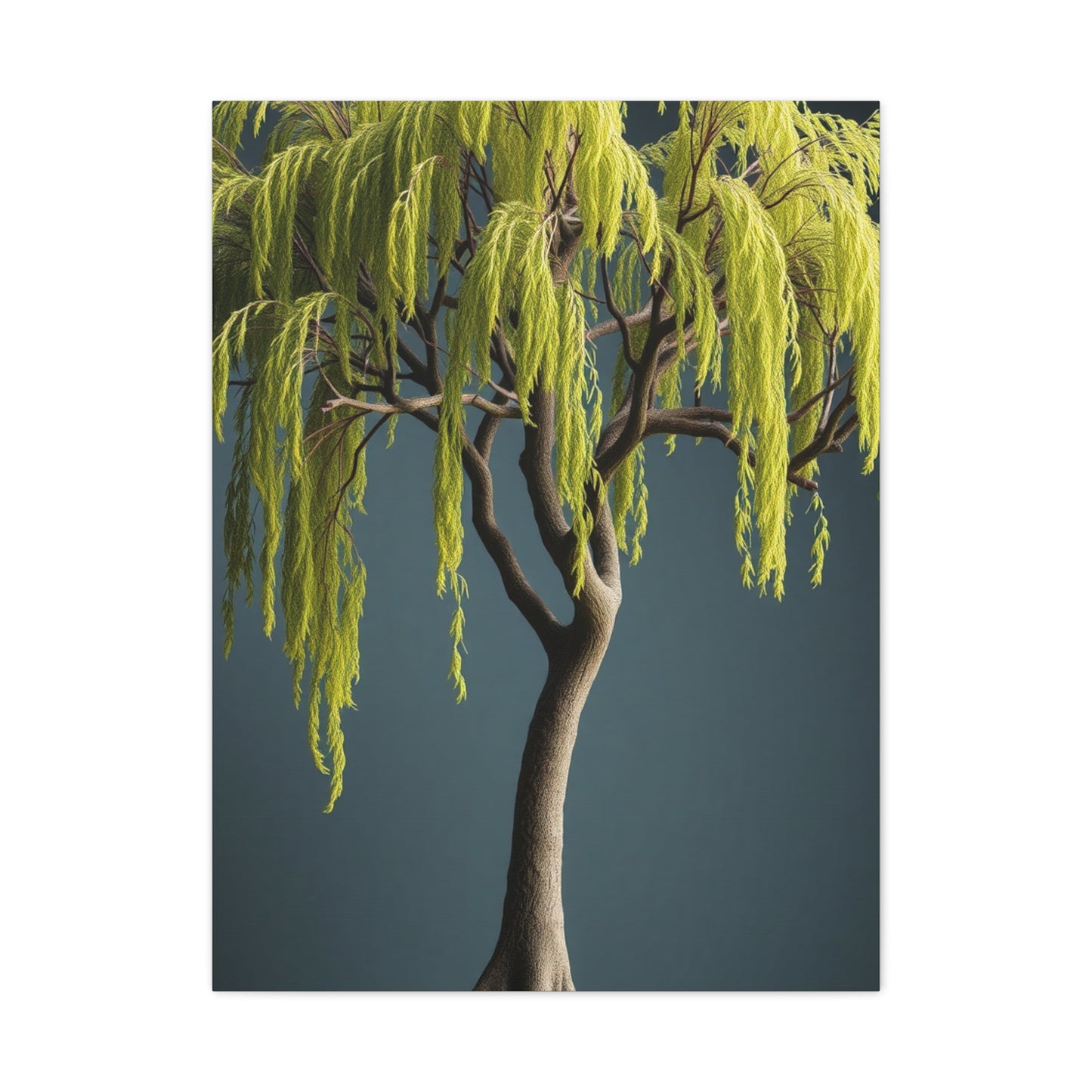 Willow Tree Art Luxury Canvas Wall Art & Canvas Print