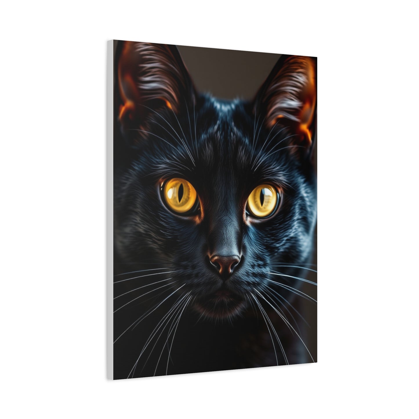 Black Cat Art Luxury Canvas Wall Art & Canvas Print