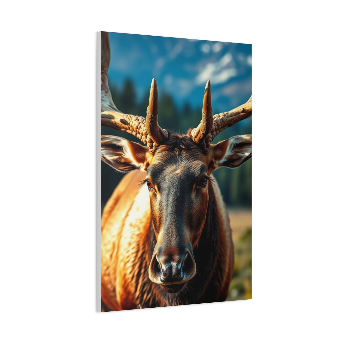 Supreme Elk Art Collection Wall Art & Canvas Print