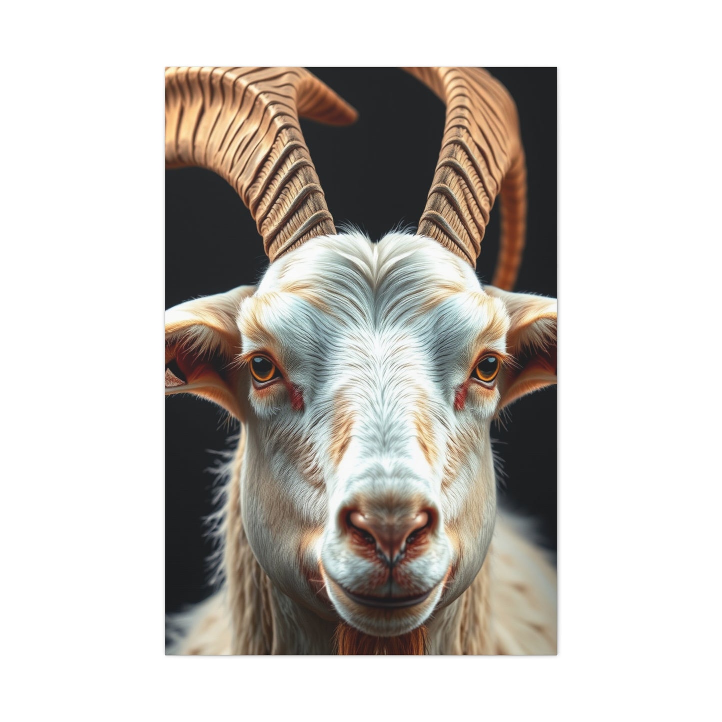 Sublime Goat Tableau Wall Art & Canvas Print