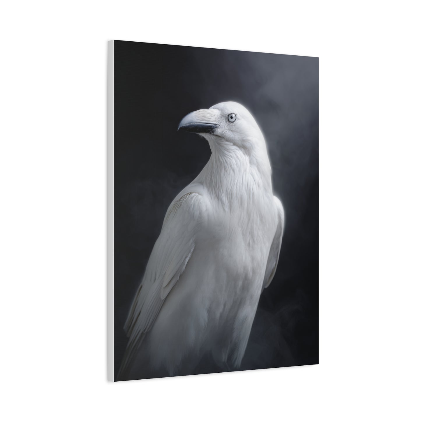 Elegant White Raven Portrait Wall Art & Canvas Print
