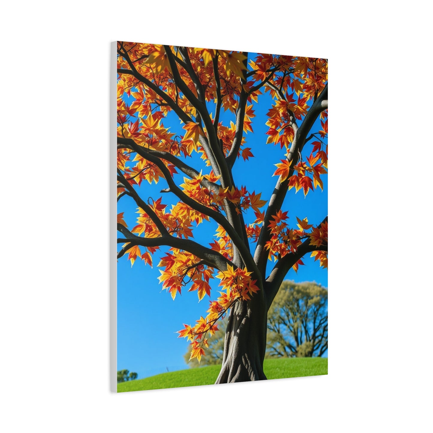 Supreme Maple Tree Art Collection Wall Art & Canvas Print