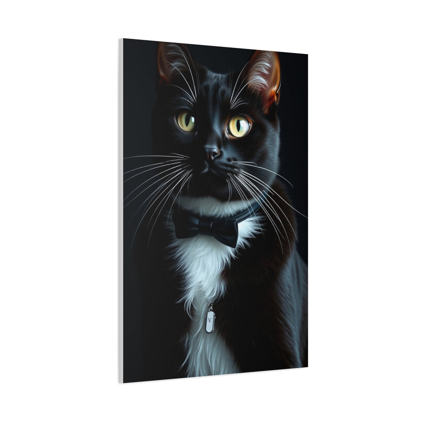 Elite Tuxedo Cat Art Vision Wall Art & Canvas Print