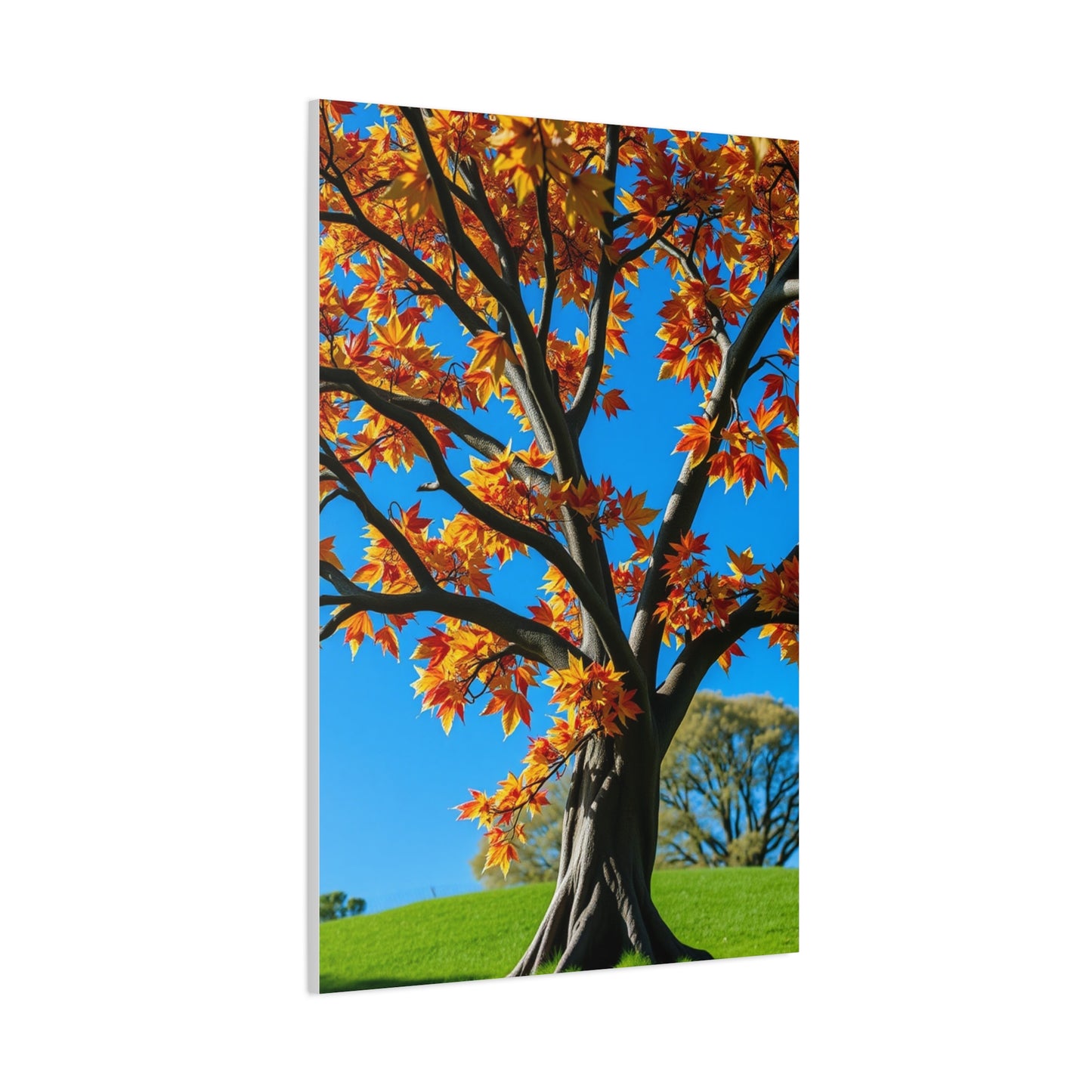 Supreme Maple Tree Art Collection Wall Art & Canvas Print