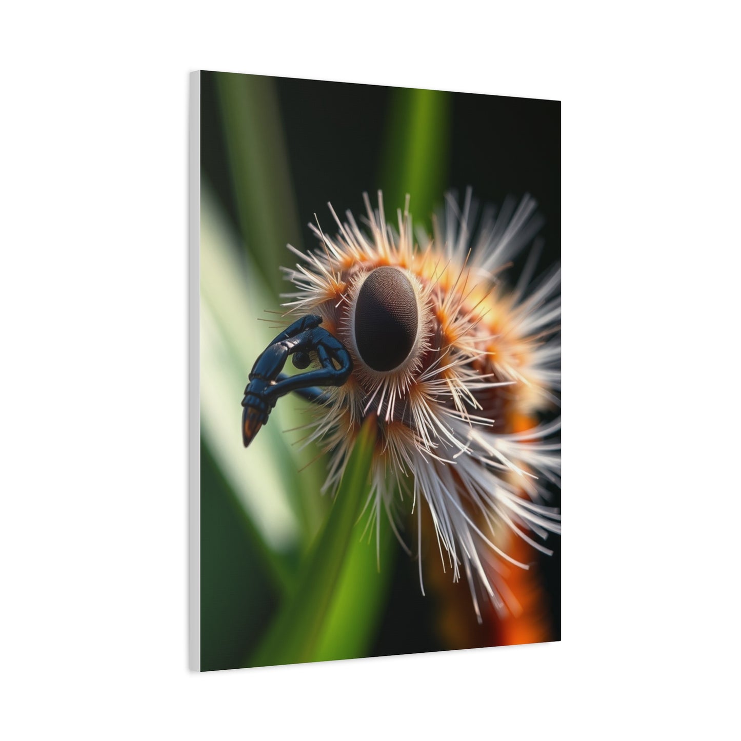 Supreme Nature Closeups Art Collection Wall Art & Canvas Print