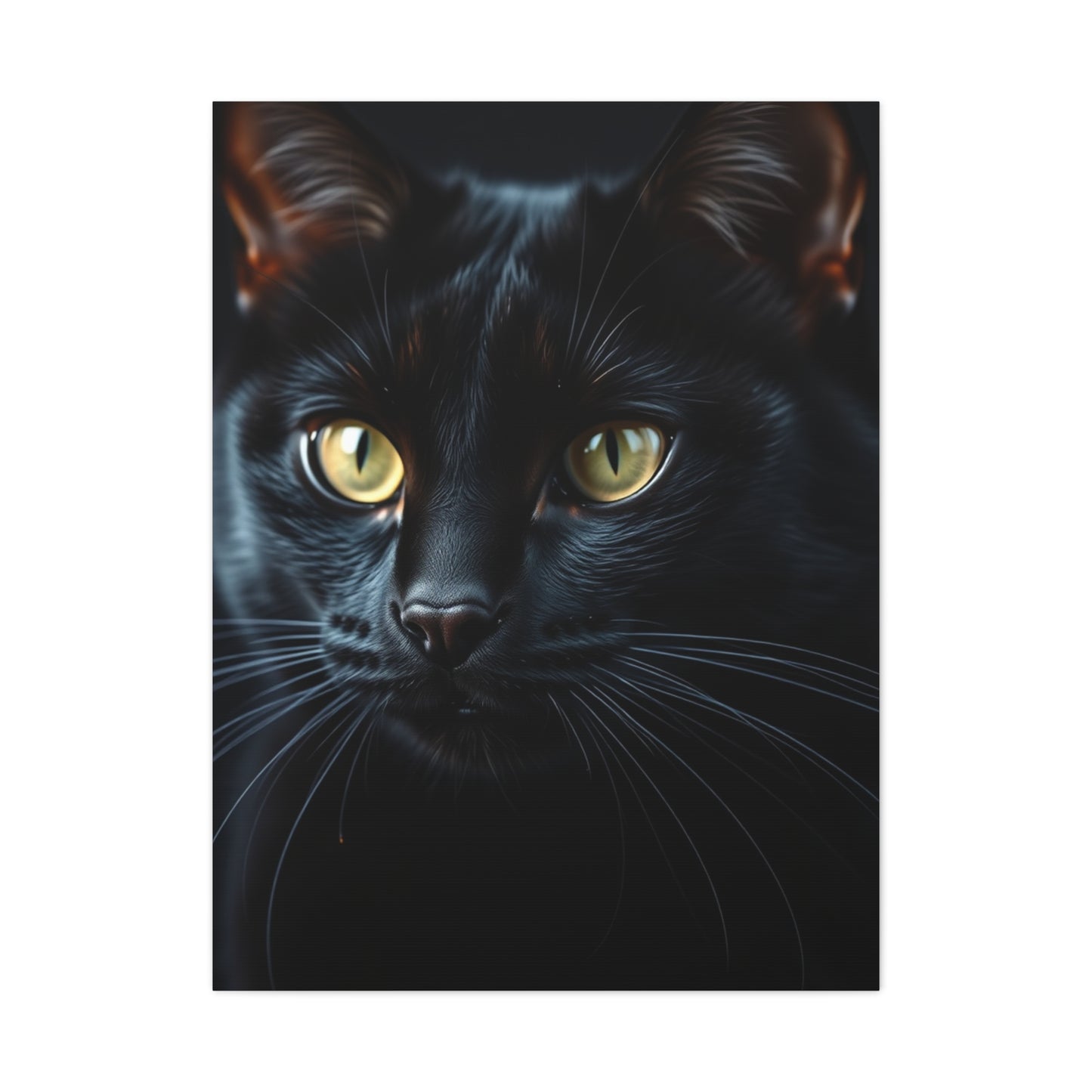 Elite Black Cat Art Vision Wall Art & Canvas Print