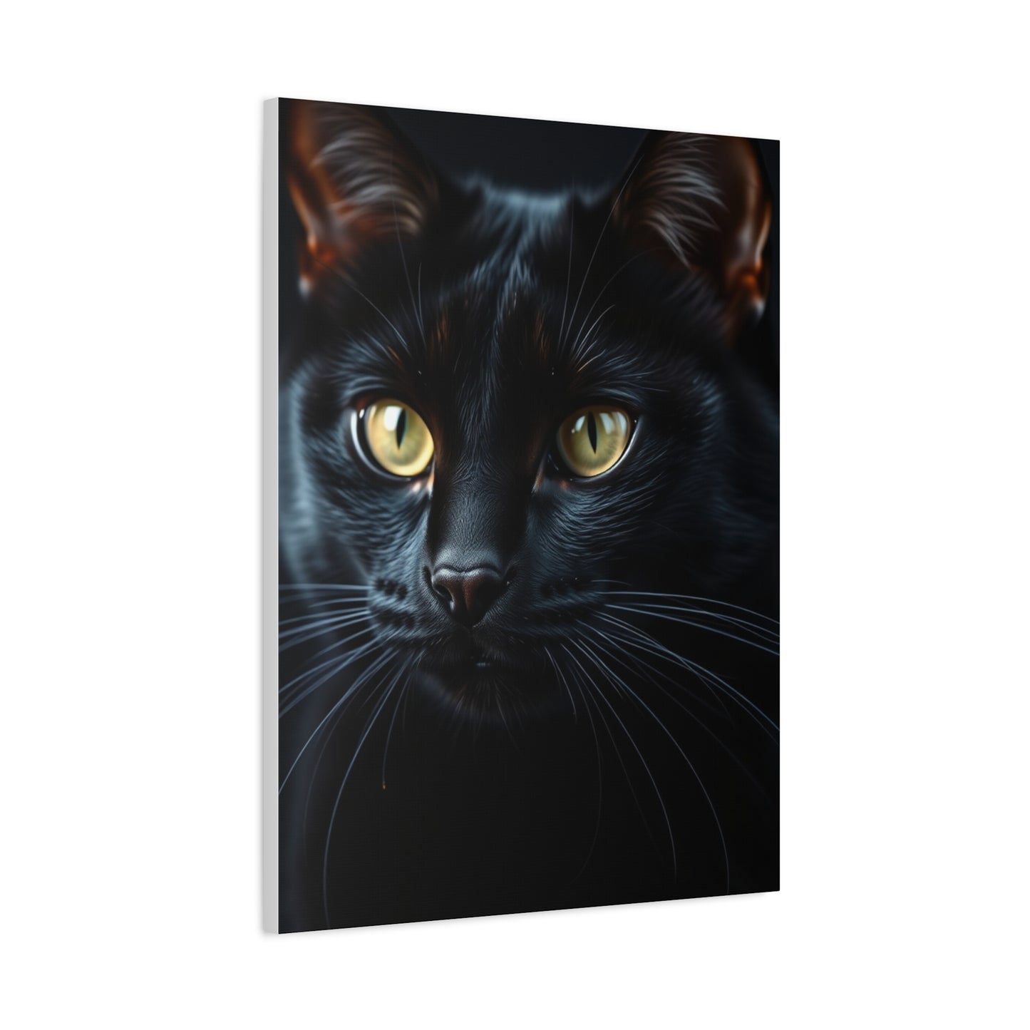 Elite Black Cat Art Vision Wall Art & Canvas Print