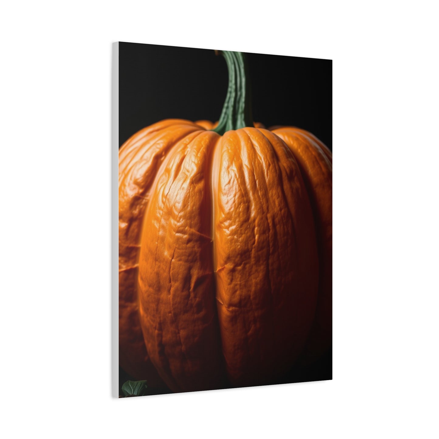 Regal Pumpkin Panorama wall art & canvas print