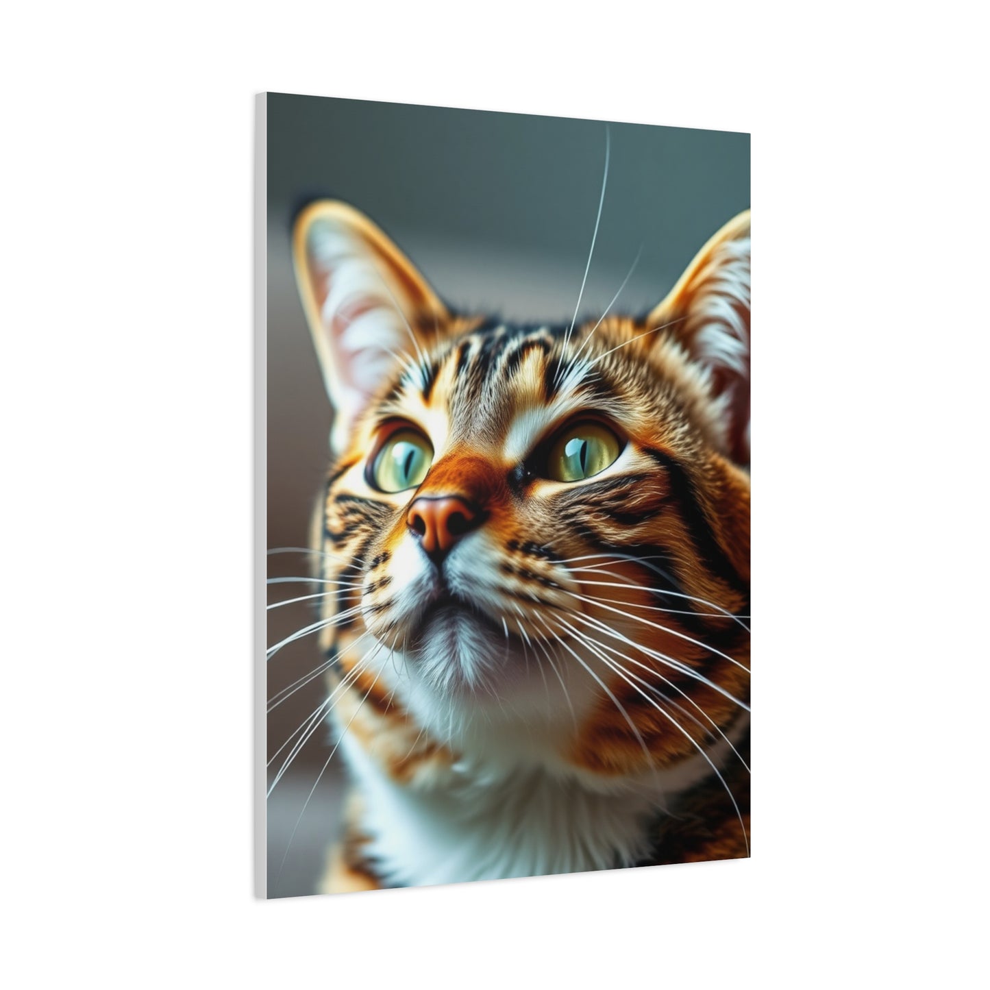 Supreme Tabby Cat Art Collection Wall Art & Canvas Print