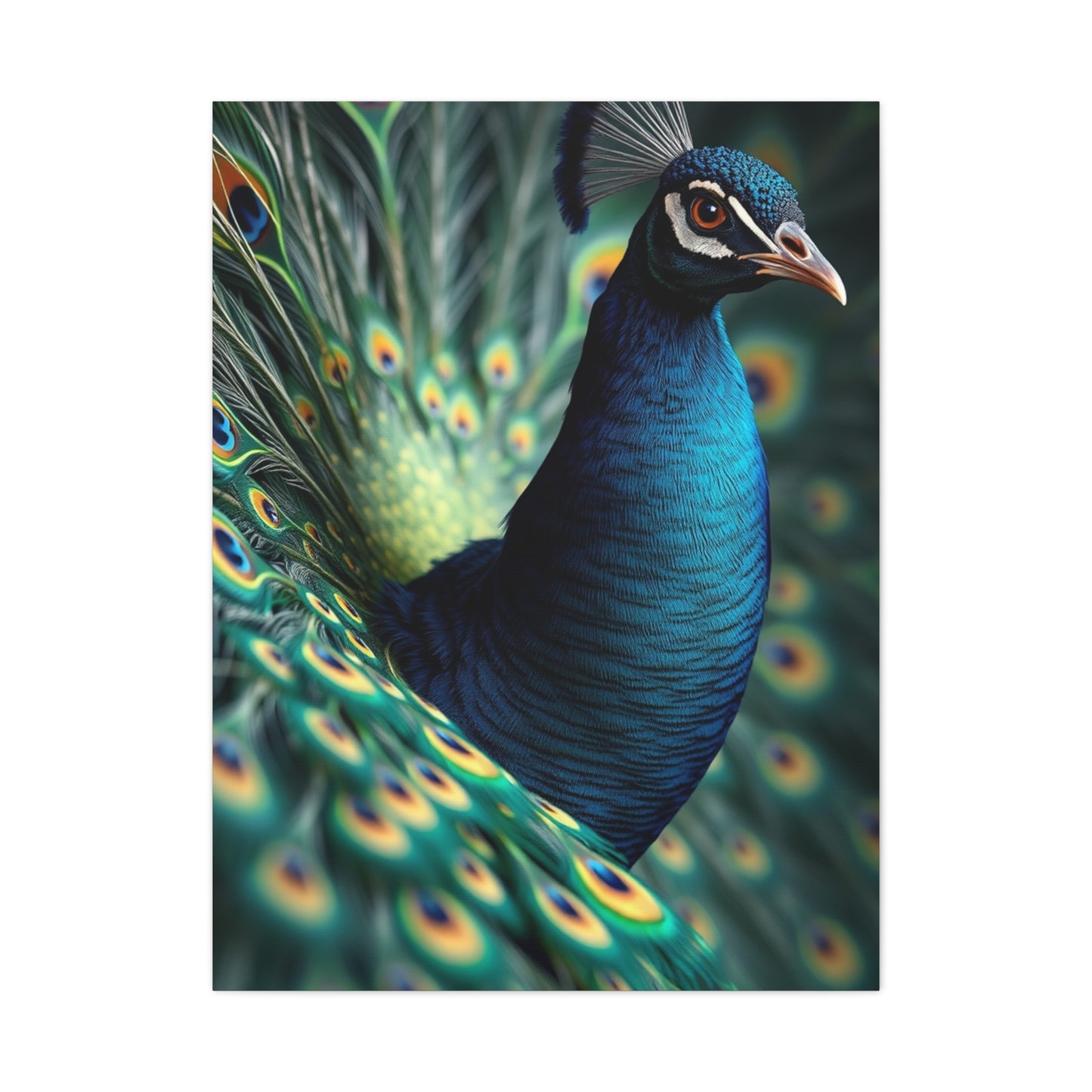 Peacock Art Luxury Canvas Wall Art & Canvas Print