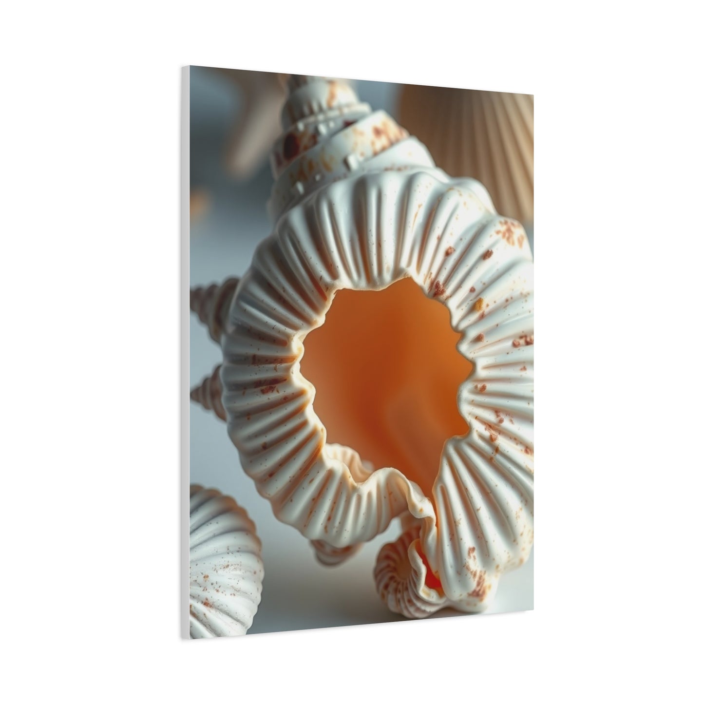 Sea Shell Art Supreme Gallery Wall Art & Canvas Print