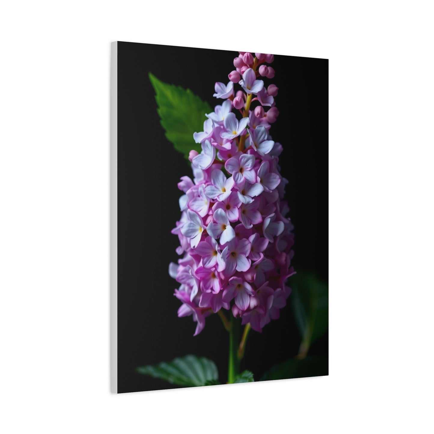 Supreme Lilac Flower Art Collection Wall Art & Canvas Print