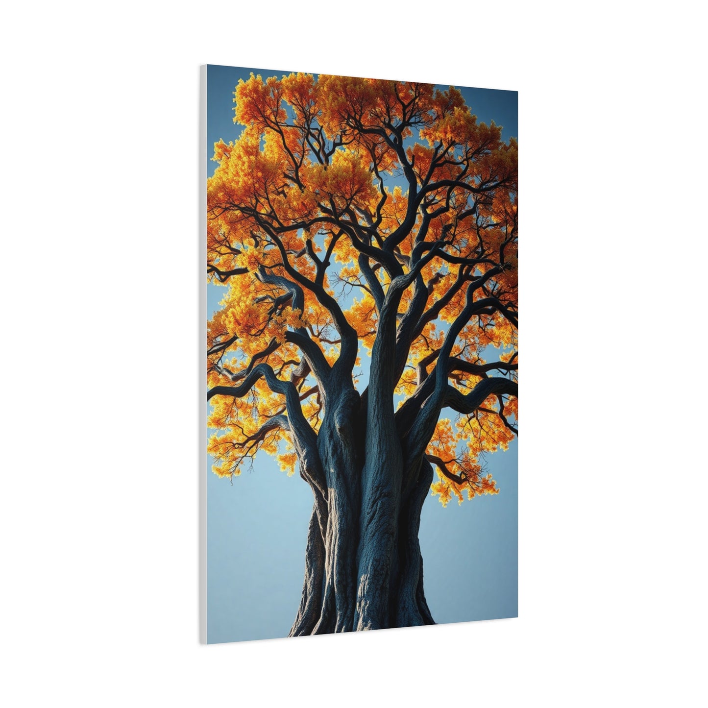 Oak Tree Art Supreme Gallery Wall Art & Canvas Print
