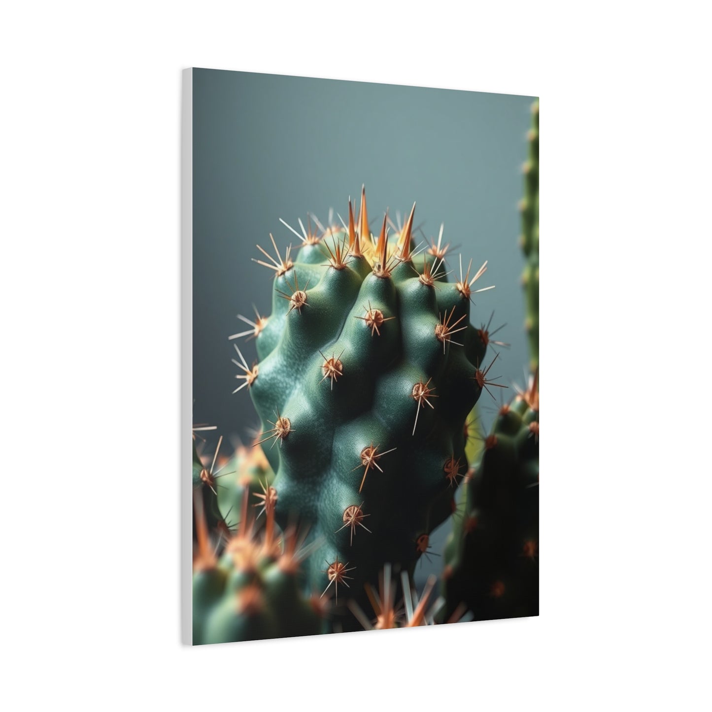 Cactus Harmony Canvas Wall Art & Canvas Print