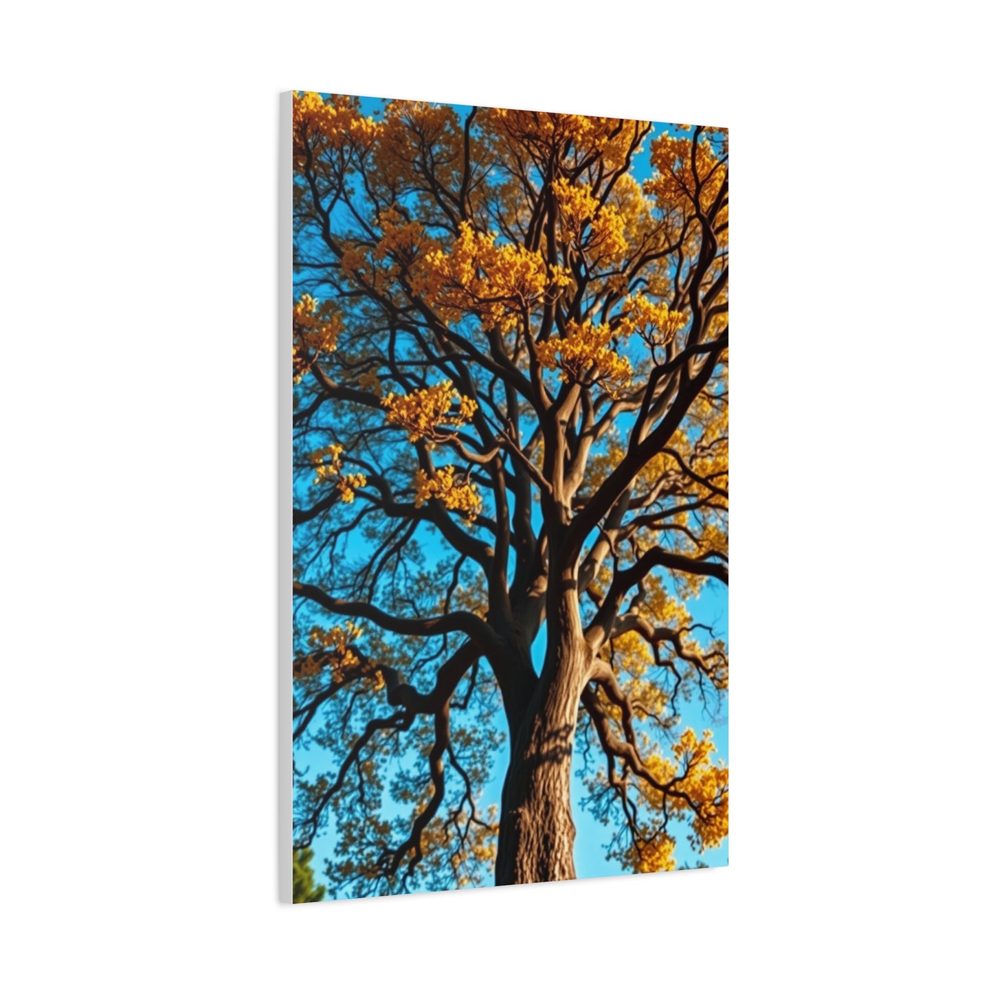 Majestic Grove Masterpiece Wall Art & Canvas Print