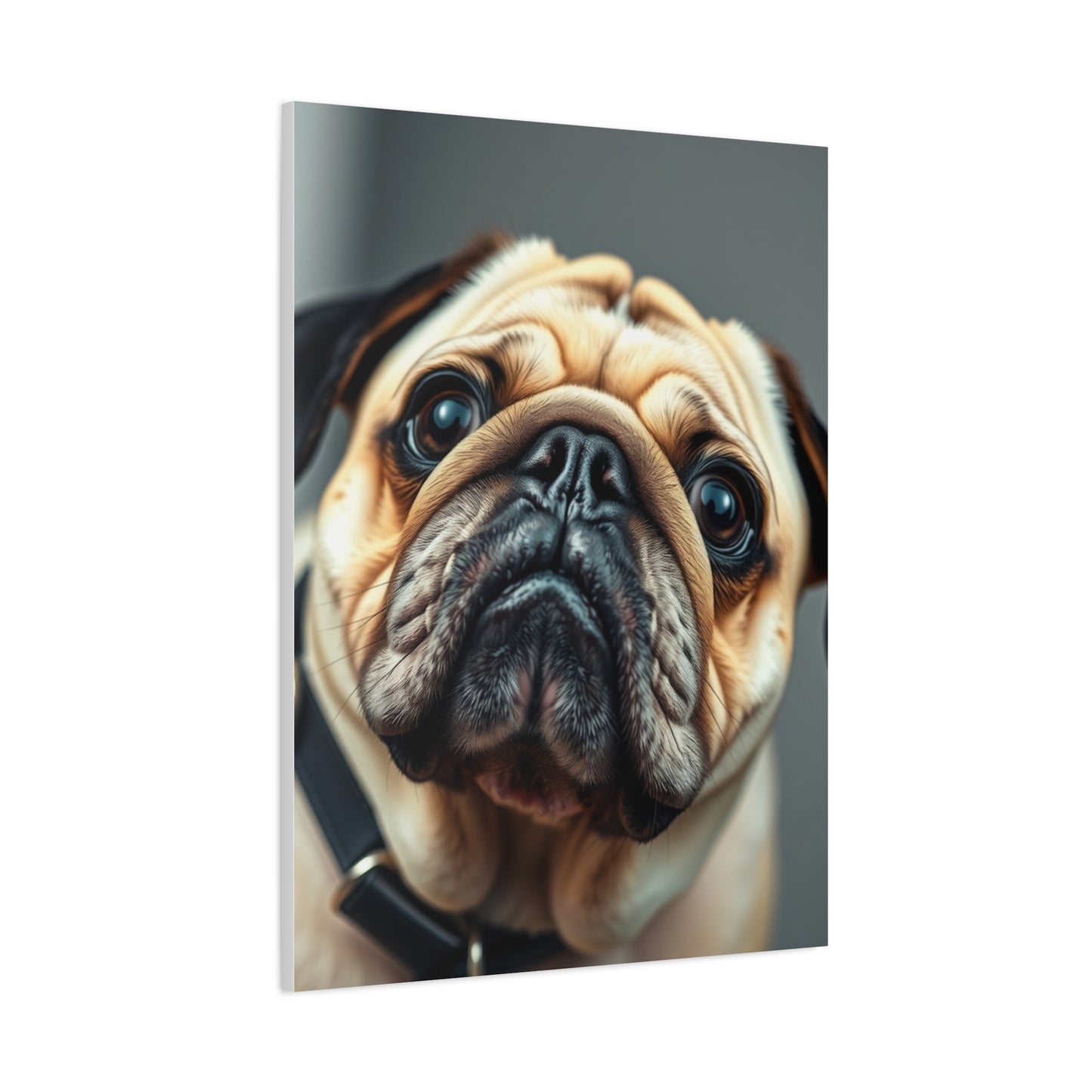 Pug Art Supreme Gallery Wall Art & Canvas Print